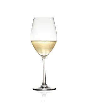 B26W12 桑迪白酒杯340cc 6入