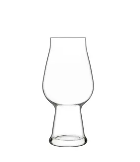 PM985 IPA精釀啤酒杯 6入