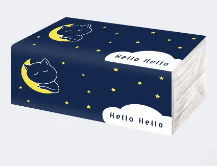 [A31019-1] A31019-1 黑貓抽取式衛生紙 200張*48包/箱